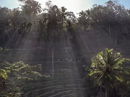 Tegalalang Rice Terrace