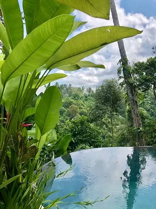 Ubud Villa pool