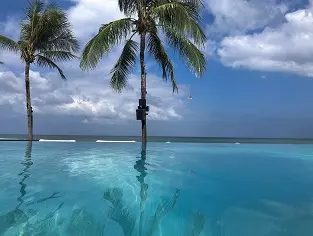 potatohead pool