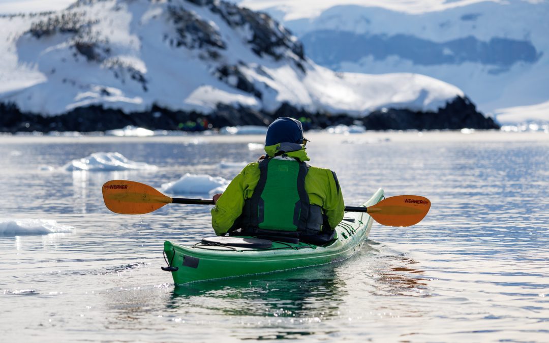 Exploring Cuverville Island and Kayaking Adventure