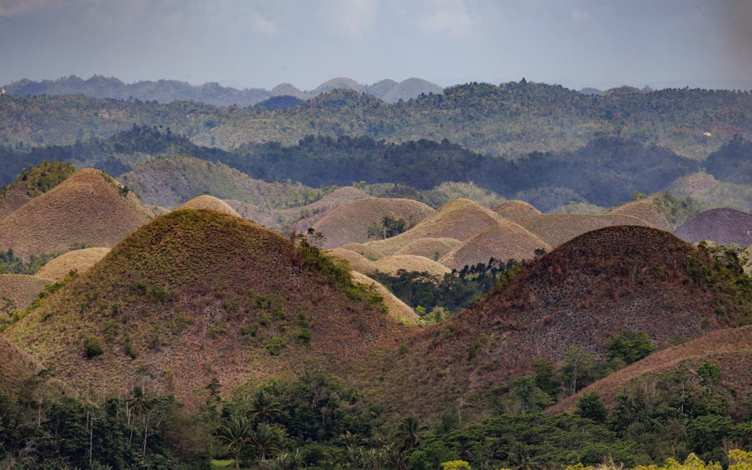 Sightseeing in Bohol