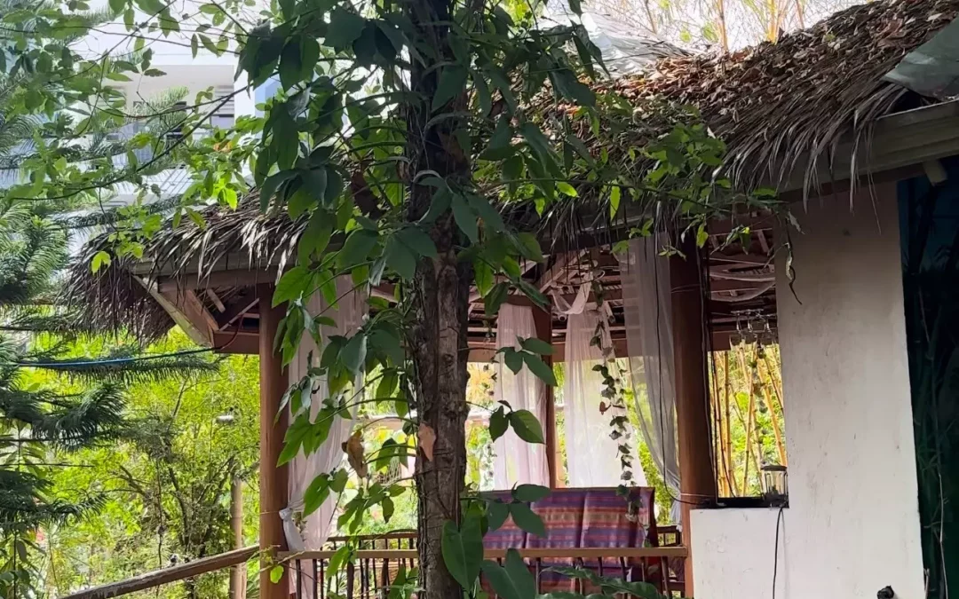 Fun in Oslob