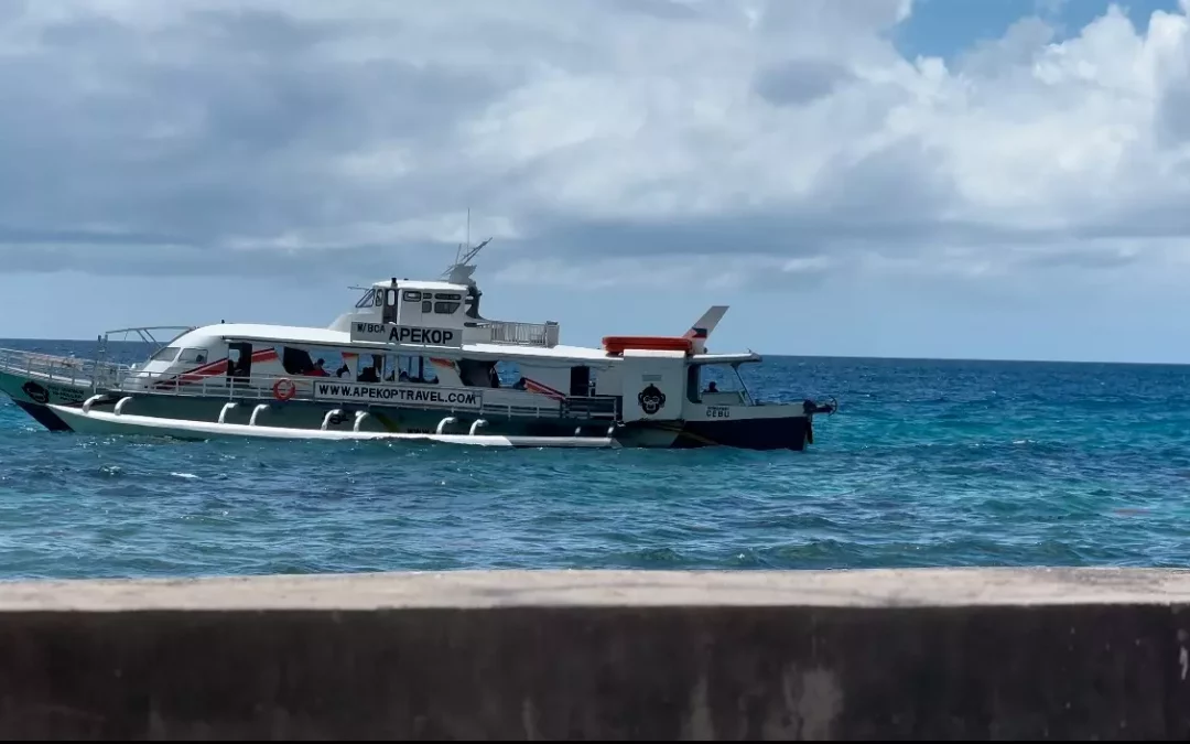 Journey to Bohol