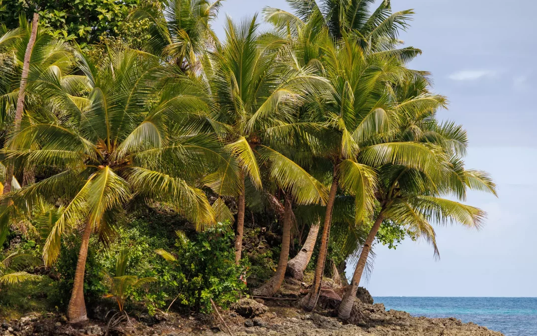 Three Island Tour