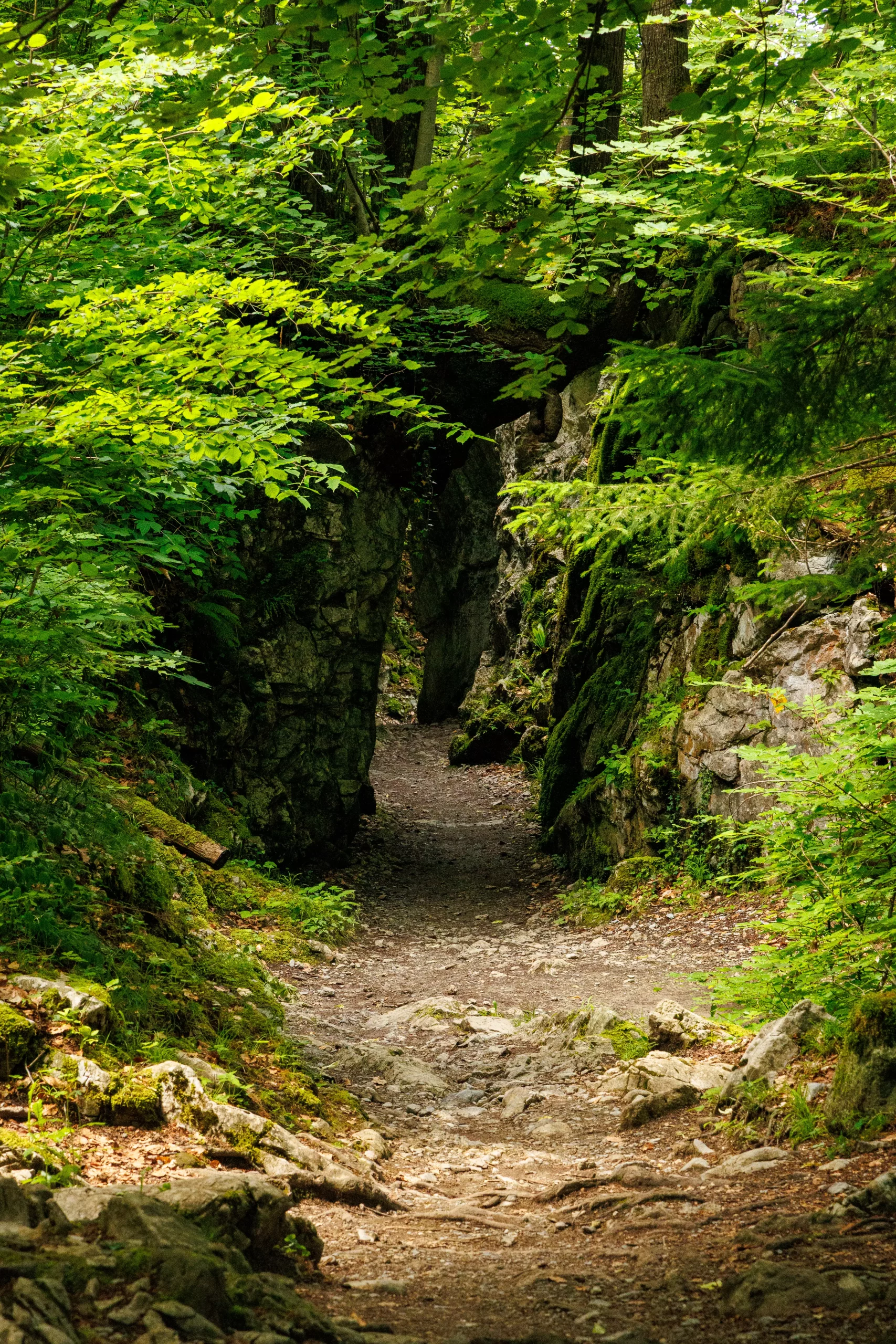 Seljalandsfoss take picture