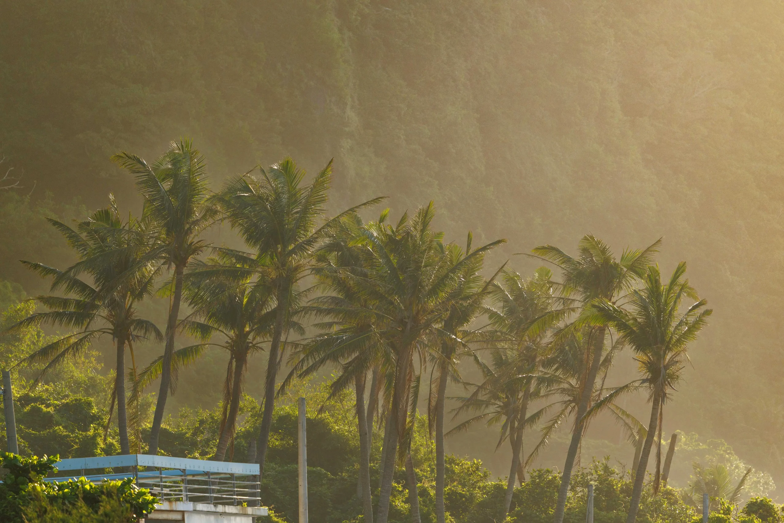 Sunrise at Skogafoss waterfall