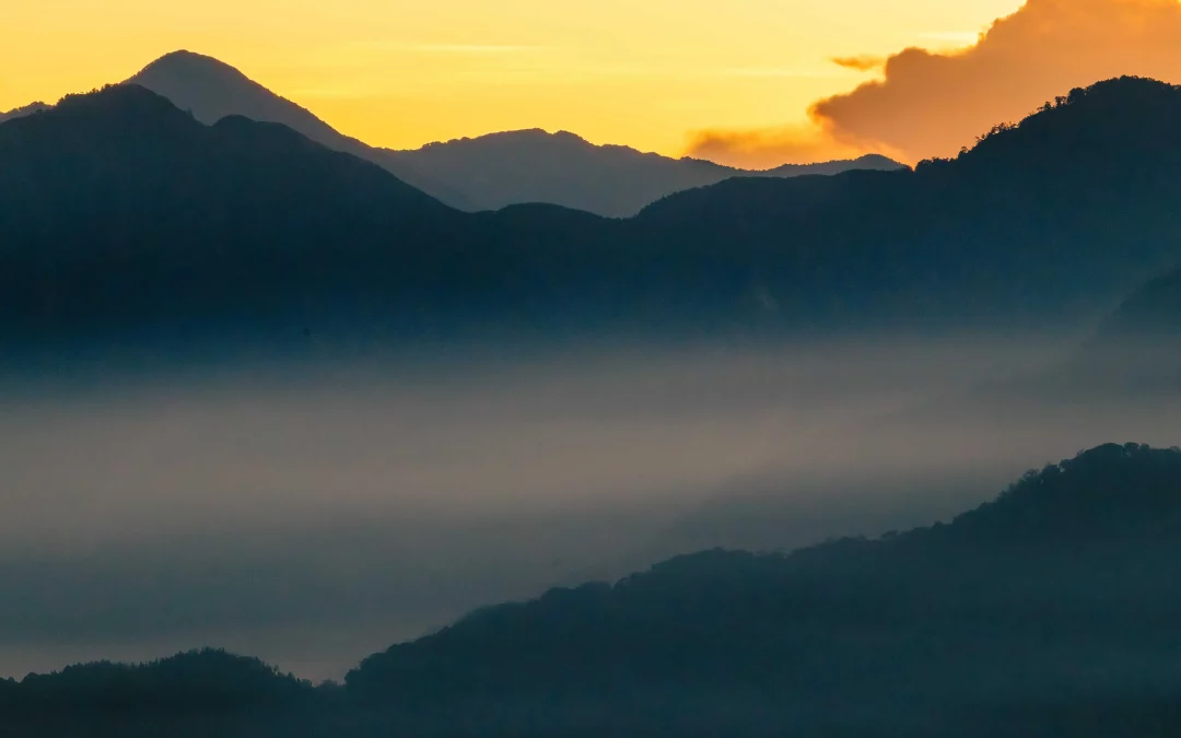 Days 14 & 15 – Misty Mountains in Alishan