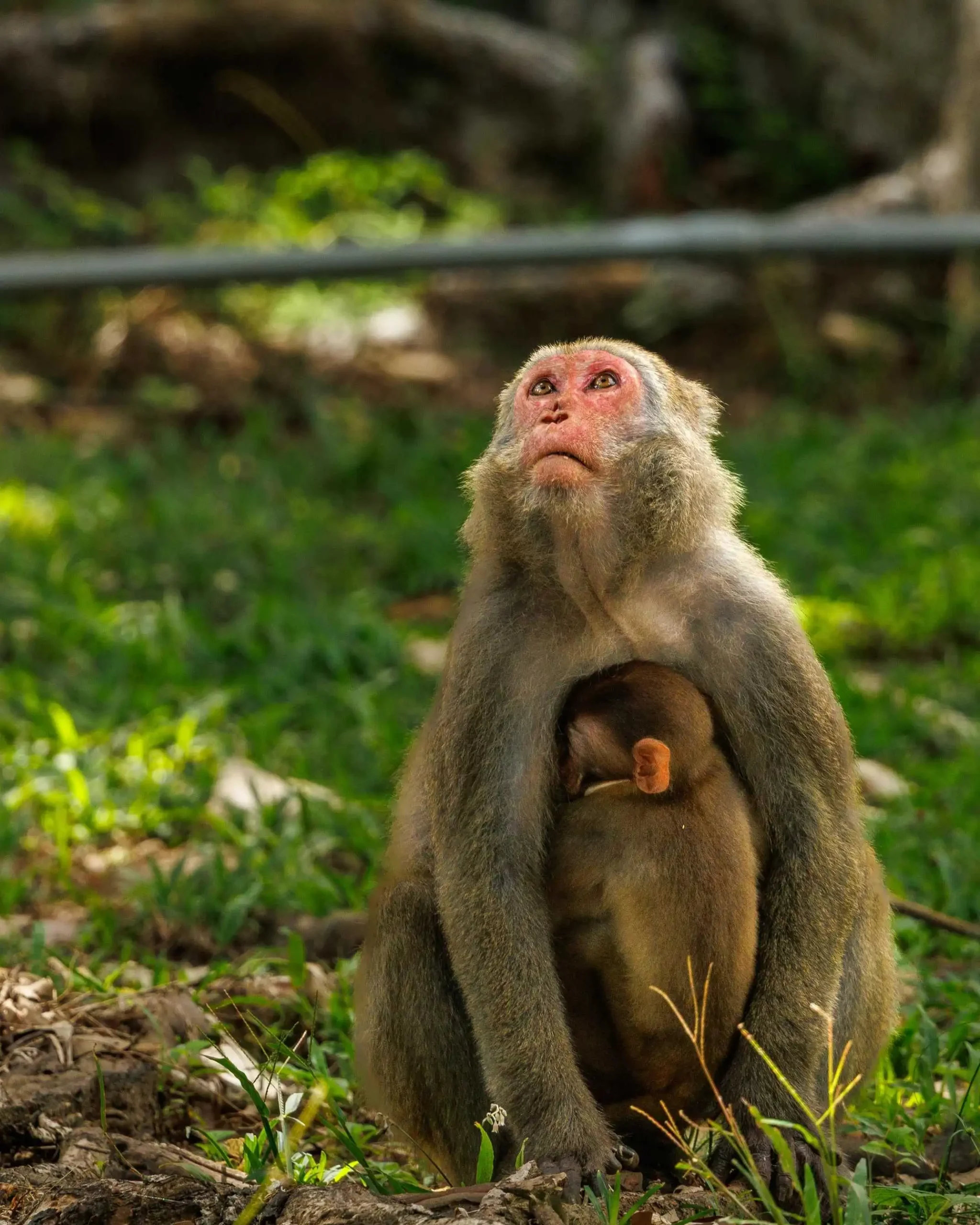Seljalandsfoss take picture