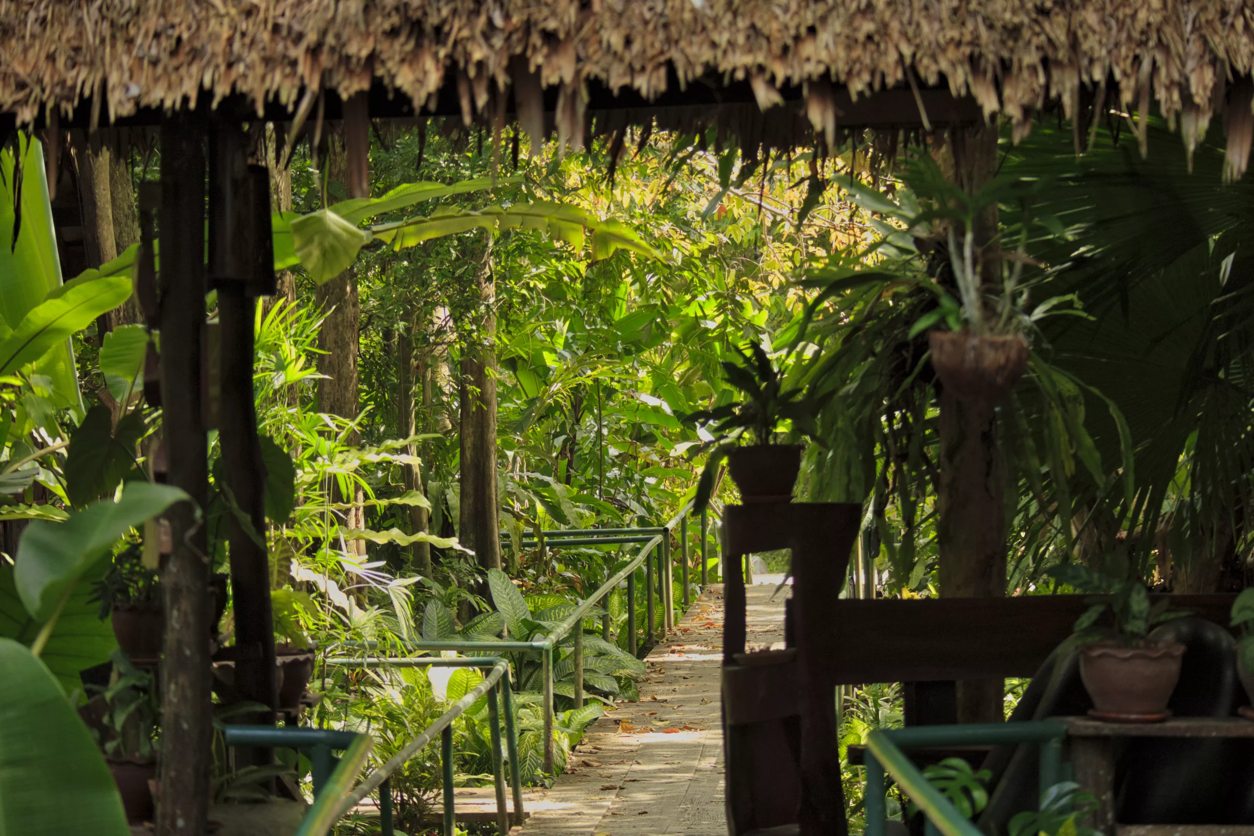Riverside Cottages Khao Sok Riverside Cottages Khao Sok